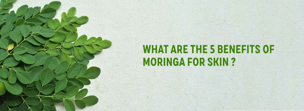 What are the 5 Benefits Of Moringa For Skin and Why is it important?