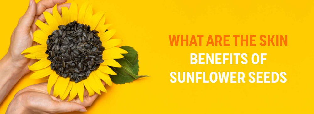 What are the Skin Benefits of Sunflower Seeds and it’s Uses?