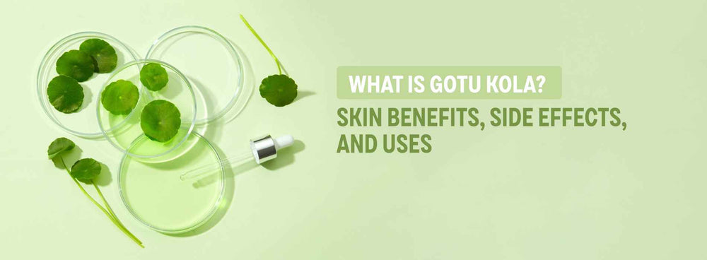 What is Gotu Kola? Skin Benefits, Side Effects, and Uses